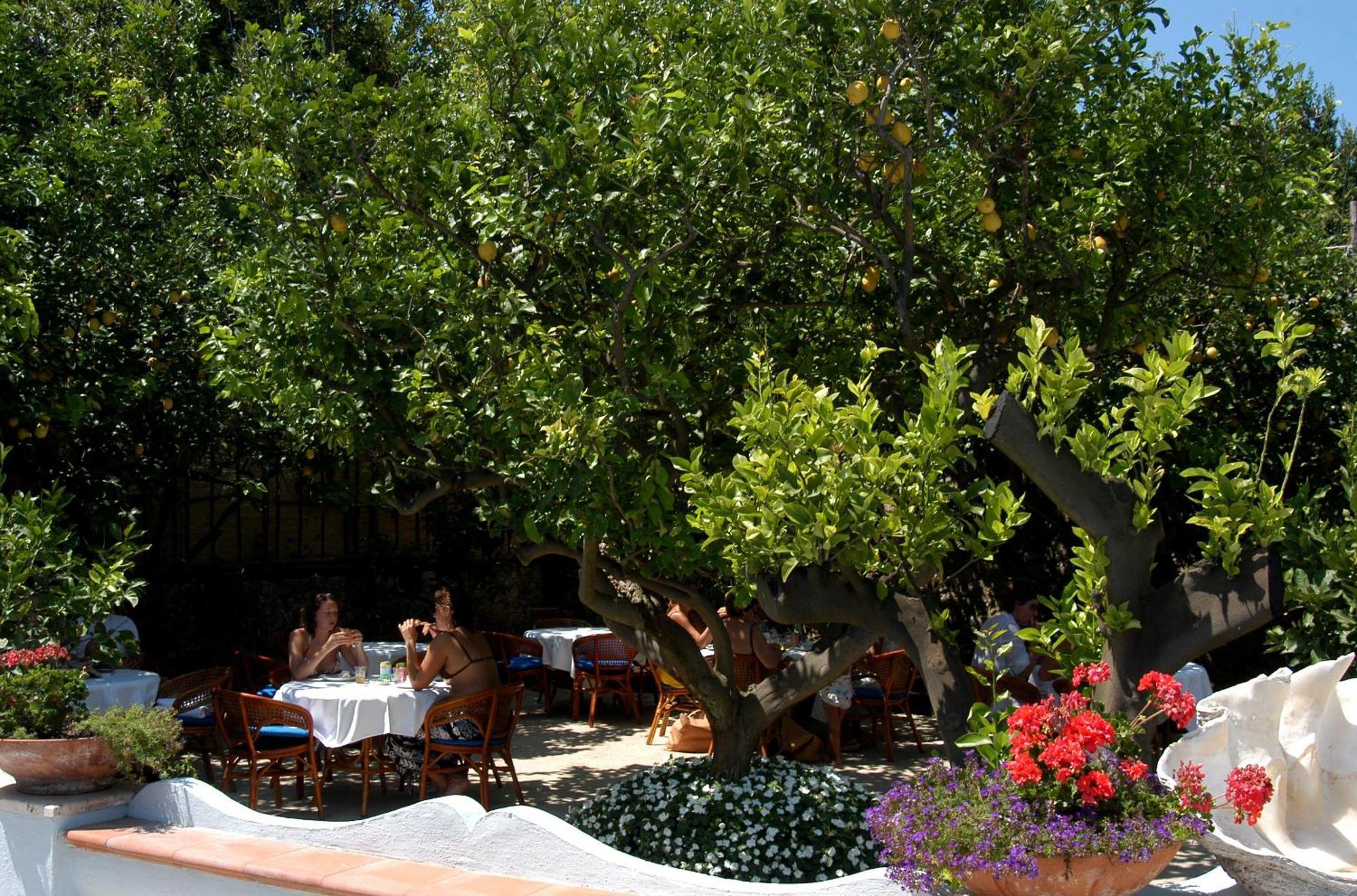 Hotel San Felice Capri Esterno foto