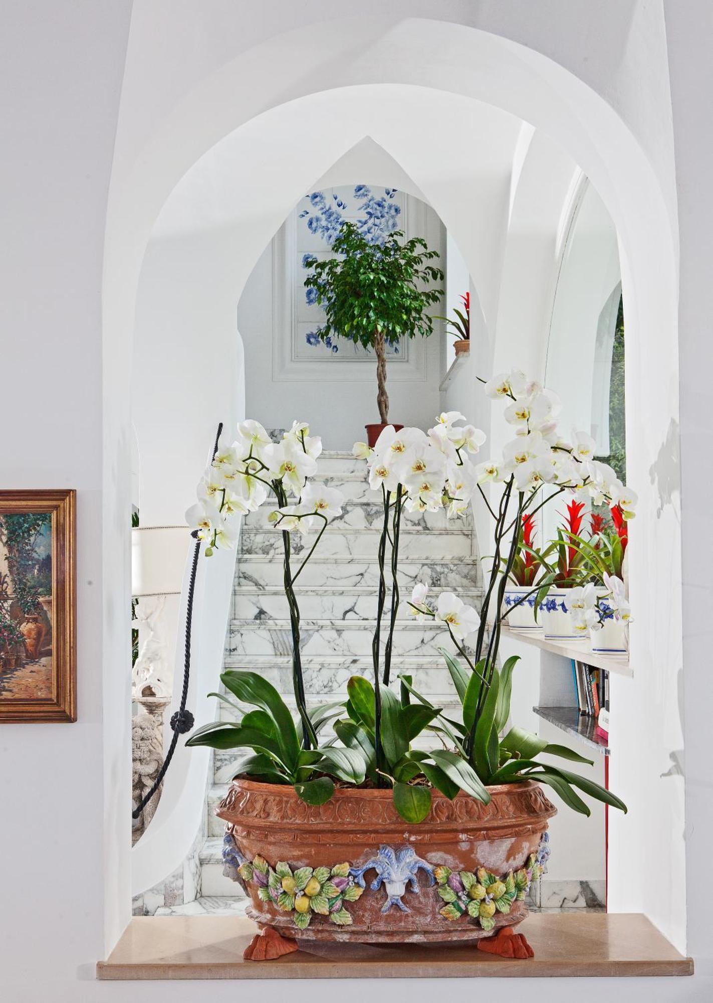 Hotel San Felice Capri Esterno foto