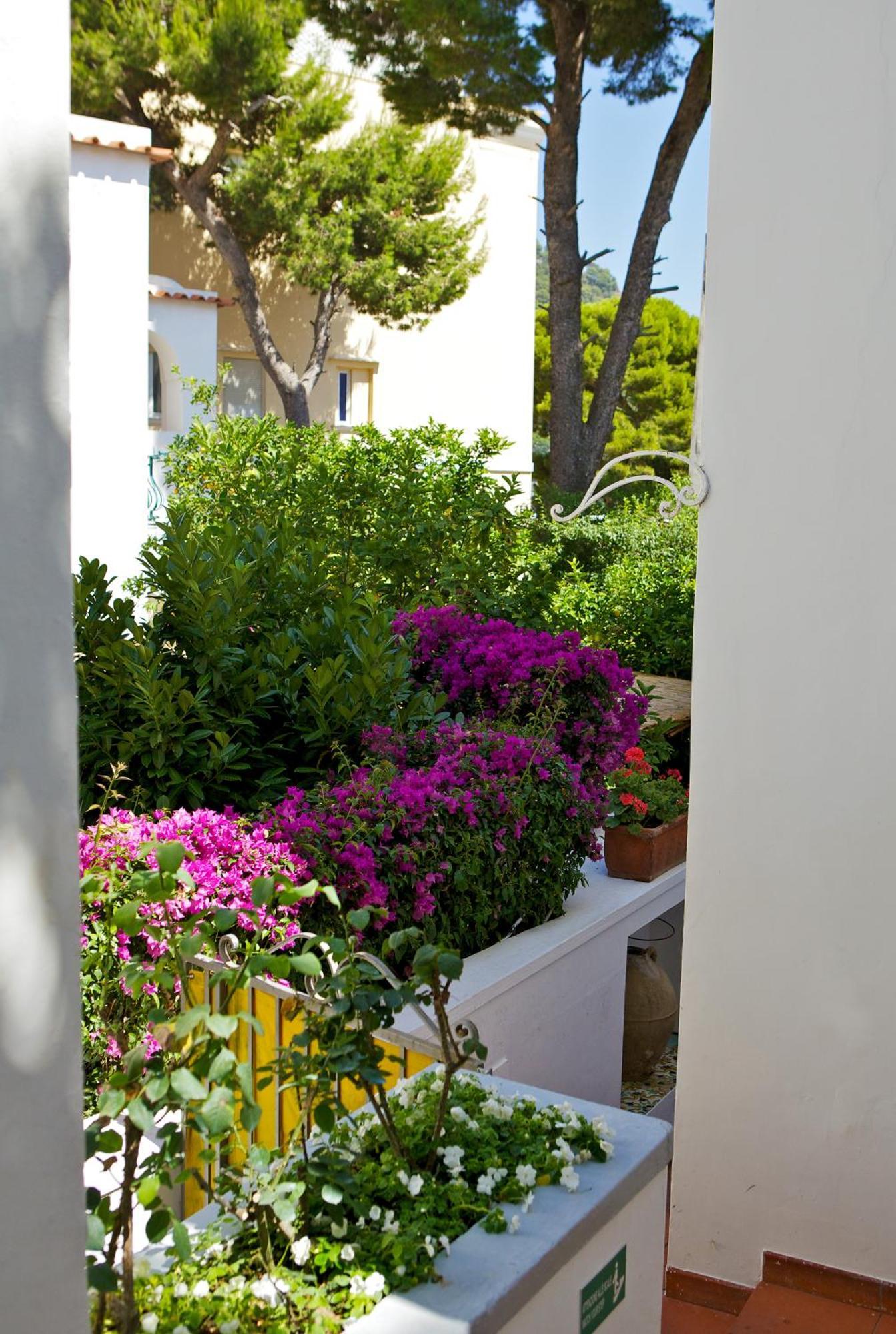 Hotel San Felice Capri Esterno foto